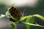 20130727151244-f1d1e1fd