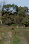 20131018142651-11408ae5