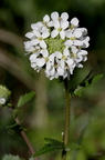 20140304223922-99ec68ef