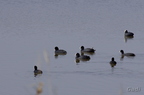 20140314190819-af9a59ca